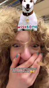 Best one I couldve gotten, hands down. I love Wishbone! #pbskid #wishbine  #wishbonetvshow #wishbonethedog