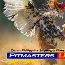 Pitmasters Live Casino