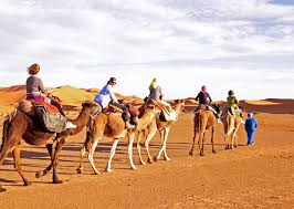 There were camels, camels everywhere but not one in which my fangs to sink. Is Camel Riding Ethical How To Have A Cruelty Free Camel Riding Experience