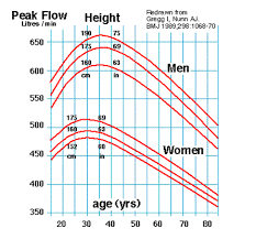 Peak Flow Meter 134405559613 Asthma Peak Flow Meter Chart