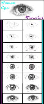 Kids and beginners alike can now draw great looking eyes. Drawing The Human Eye Onlypencil Drawing Tutorials Eye Drawing Tutorials Drawing Techniques Drawing Tutorial