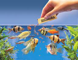 Types Of Aquarium Fish Food Types And Nutritional Values The Aquarium Guide