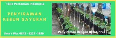 Tampak sebuah pohon dengan ranting. 15 Cara Menanam Sayuran Organik Terbaik Di Polybag Halaman Rumah