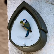 Schwegler Meisenresidenz 1mr Grun Grau Vogel Und Naturschutzprodukte Einfach Online Kaufen