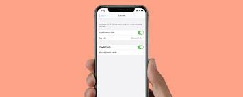 To autofill contact info or credit cards on your iphone: How To Set Up Autofill In Safari On Iphone