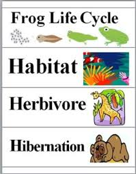 Animals Word Wall Cards Educacion Ingles Actividades Para Preescolar Educacion