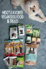 Now i want to introduce you to my vegan dog (cassy) and her favorite vegan dog food recipe. Miso S Favorite Vegan Dog Food Treats Elephantastic Vegan
