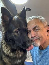 Dial A Dog Wash Bewdley