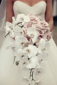 Shop.alwaysreview.com has been visited by 1m+ users in the past month White Orchid Wedding Bouquet