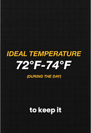 What to Set Thermostat at in March