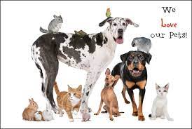 The preventive care option is designed to help pet parents plan and pay for the yearly routine care that helps keep their pets. Pet Insurance For Those Who Love And Protect Their Pets Mom Does Reviews