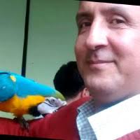 60+ "Freddy Zavala" profiles