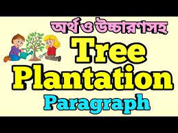Our living life in danger for deforestation. Tree Plantation Paragraph Tree Plantation Paragraph With Bangla Meaning Tree Plantation Essay Youtube