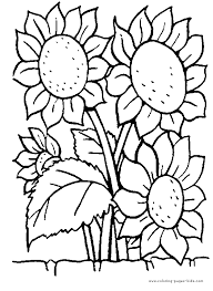 This time of year we can see many wonderful flowers. Sunflowers Color Page Sunflower Coloring Pages Flower Coloring Pages Coloring Pages
