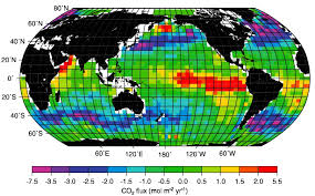 carbon sinks absorb the extra co2