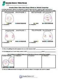 Our global writing staff includes experienced enl & esl academic writers in a variety of disciplines. Mitosis Vs Meiosis Comparison Select Recap Answer Key By Amoeba Sisters
