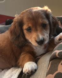 Robyn (@robyn.duty) • Instagram photos and videos