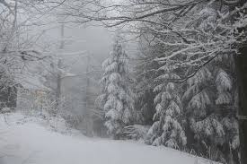 #winterbilder hintergrund #winterbilder hintergrund #winterbilder hintergrund. 8 000 Kostenlose Winter Winterlandschaft Bilder Pixabay