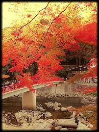 korankei japan scenery city
