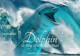 Check spelling or type a new query. Dolphin Symbolism Dolphin Meaning Dolphin Signs Symbols Totems