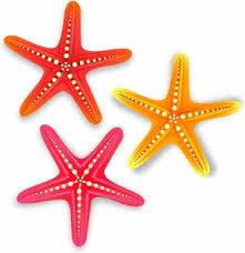 Download Starfish Beach Free Vector Download 1 162 Free Vector For Commercial Use Format Ai Eps Cdr Svg Vector Illustration Graphic Art Design
