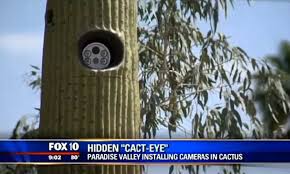 It's even worse than a spiky cactus up your butt. Hidden Cactus Cameras Are Freaking Out The Residents Of A Small Arizona Town Daily Mail Online