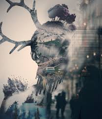Kacirmak Gozlerini Blackandwhite Doubleexposure Girl Flowers Art Picsart Double Exposure Mobile Photo Editing