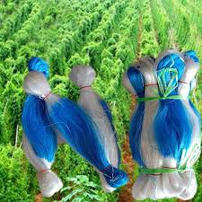 Lưới làm giàn leo cho cây trồng thân leo (dưa leo, bầu bí, mướp, khổ qua...) – VOLCANO.VN