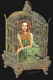 Bird In A Gilded Cage Poem What Is The Big Society A Poem About Greed And Deprivation In Our Society Bird Cage Decor Bird Cage Elf House