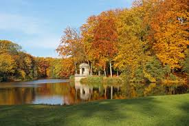 Krefeld Stadtwald Krefeld Parks Wald