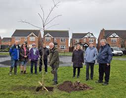 Trees Planted by Stuart Way Play Area