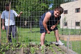 CYFS Community Garden — Northeast Kingdom Human Services