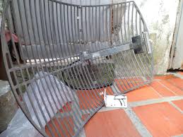 Image result for antena grillada