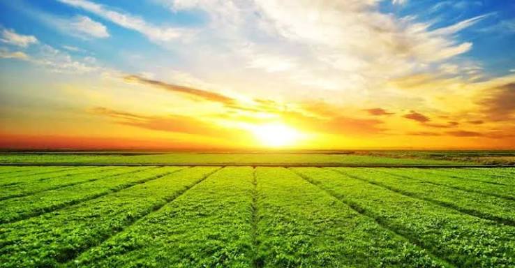 Agricultural Lands