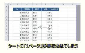 エクセルのシートに表示される 1ページ を消したい ショートカットキー 操作 使い方
