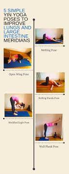 It's also responsible for the absorption of watch the video to learn about the location of the lung and large intestine meridians and some during your yoga practice some poses may compress these points and others will release the. 7 Lung And Large Intestine Meridian Exercises Help Ideas Chinese Medicine Traditional Chinese Medicine Acupuncture
