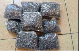 Peluru pcp 5 5 mm. Jual Mimis Exact Kiloan Call 4 5 177 Senapan Murah Mei 2021 Blibli
