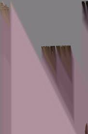 Genealogy of the Wright family : descendants of Richard Wright, sr. whose  will was probated in Rowan County, North Carolina