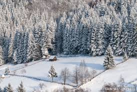 Vacanta de iarna va incepe cu 2 zile inainte de craciun, iar vacanta de vara din 2018 va debuta pe 16 iunie. VacanÈ›a De IarnÄƒ In Romania Idei De ActivitÄƒÈ›i È™i Evenimente Pentru 2017 2018