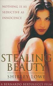 Stealing Beauty: Lowe, Shirley: 9780752806877: Amazon.com: Books
