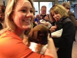 Puppies at WTOP