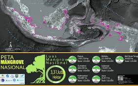 Indonesia merupakan salah satu negara dengan luas hutan mangrove terbesar didunia. Infomina Ayo Lestarikan Ekosistem Mangrove Pada Tahun 2021 Yang Akan Datang
