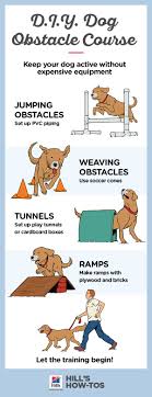 How To Make A Diy Dog Obstacle Course At Home Hill S Pet Dog Agility Course Diy Diy Dog Stuff Dog Agility Course
