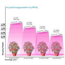 The amount of light helps the seedlings to grow as fast as you give them light. Using Full Spectrum Led Grow Lights For Indoor Gardening You Should Grow