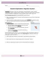 Download file pdf gizmo student exploration digestive system answer key. Digestivesystemse Name Date Student Exploration Digestive System Vocabulary Absorption Amino Acid Carbohydrate Chemical Digestion Chyme Complex Course Hero