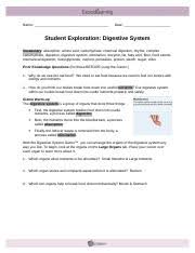 Digestivesystemse Name Date Student Exploration Digestive System Vocabulary Absorption Amino Acid Carbohydrate Chemical Digestion Chyme Complex Course Hero