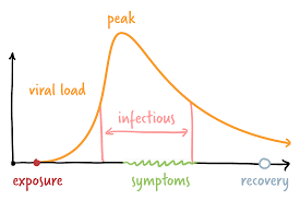 Charting A Coronavirus Infection The New York Times