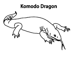 Komodo Dragon Komodo Dragon From Komodo Island Indonesia Coloring Pages Dragon Coloring Page Komodo Dragon Komodo