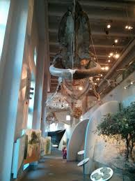 North Carolina Museum Of Natural Sciences Science And Nature Museum North Carolina