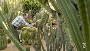 Here's 6 quick reasons from the top of our head. My Garden Path Lester Meyers Fact Sheets Gardening Australia Gardening Australia